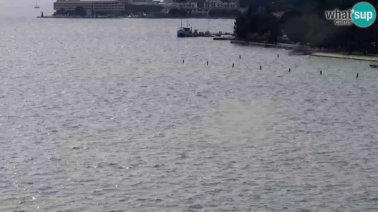 Live cam Portorož  Panorama