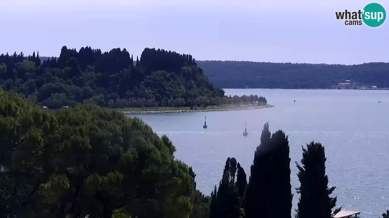 Live cam Portorož  Panorama