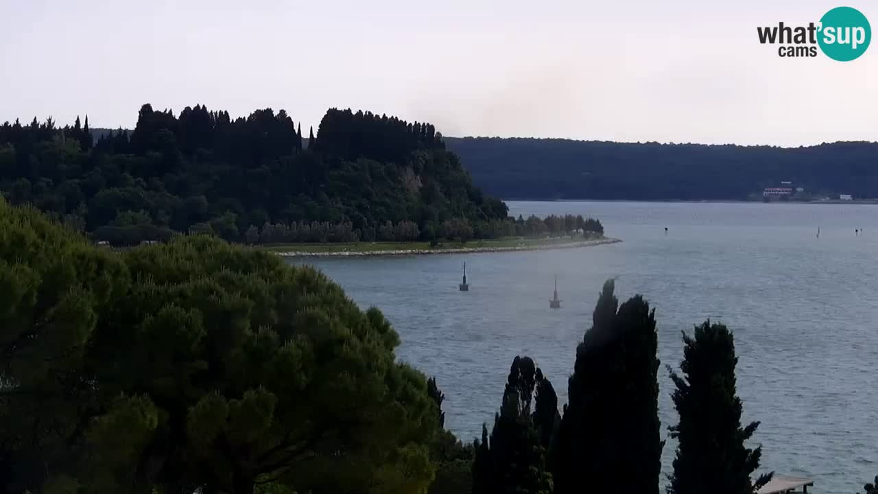 Live cam Portorož  Panorama
