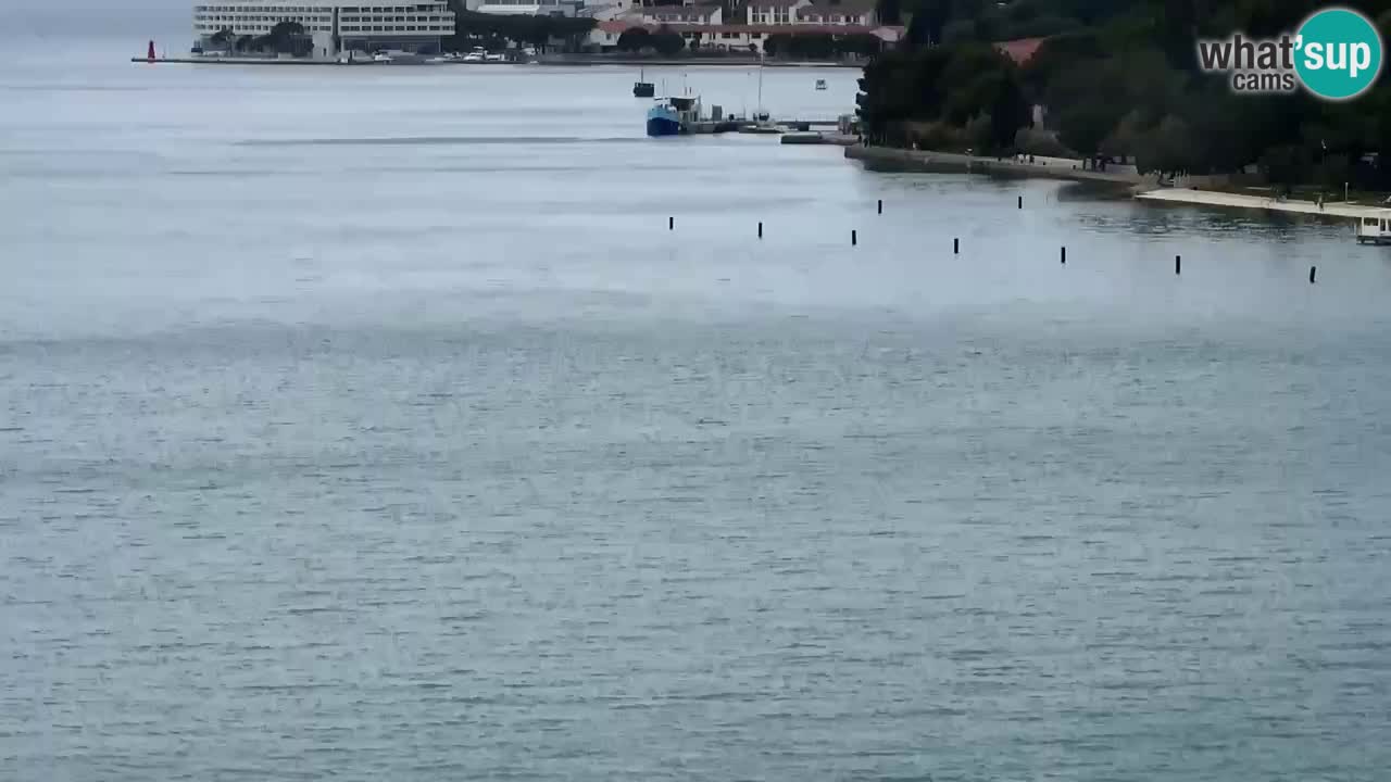 Live cam Portorož  Panorama