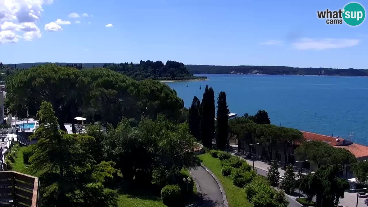Kamera v živo Portorož – Panorama