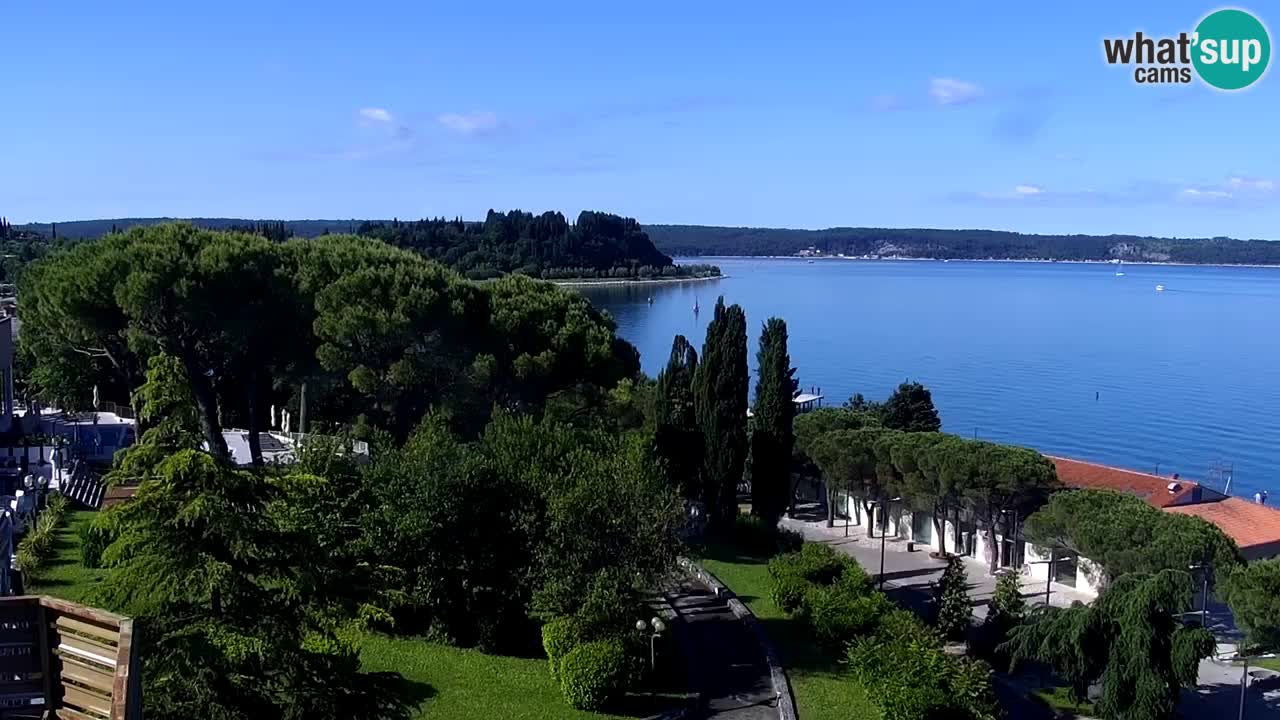 Web Kamera Portorož – Panorama