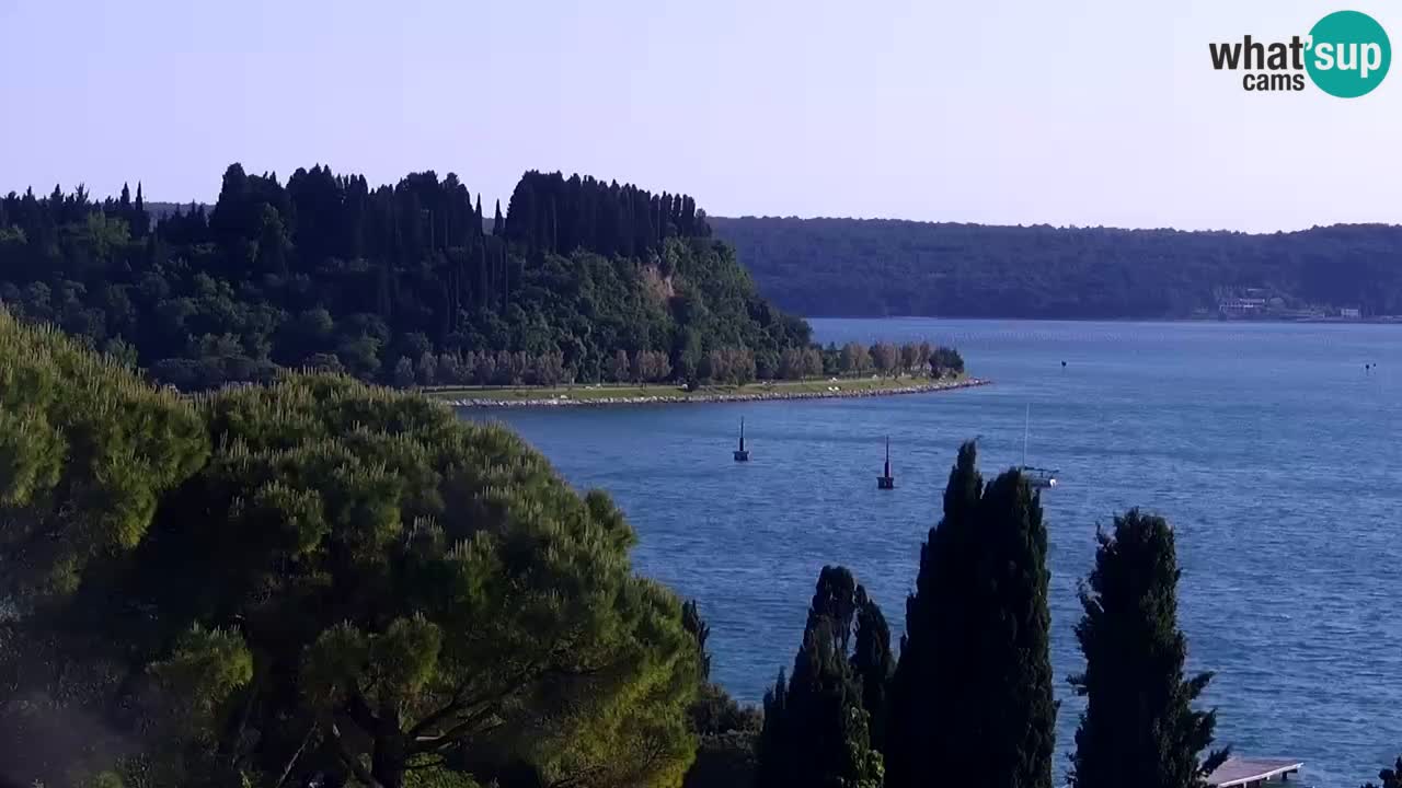 Portorož – panorama