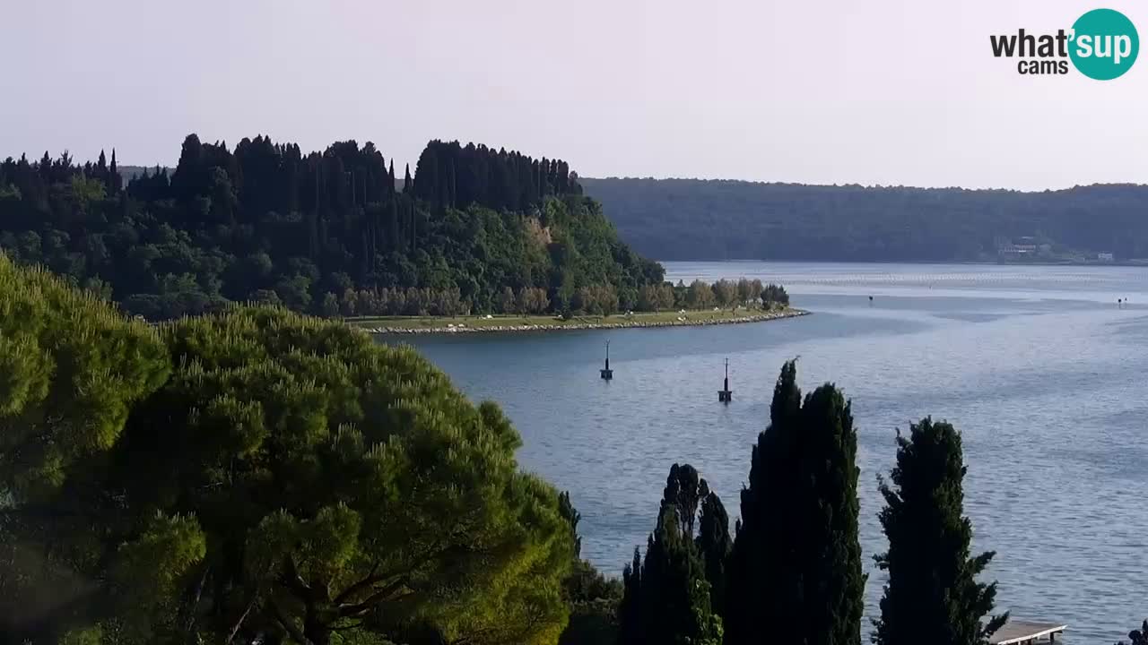 Web Kamera Portorož – Panorama