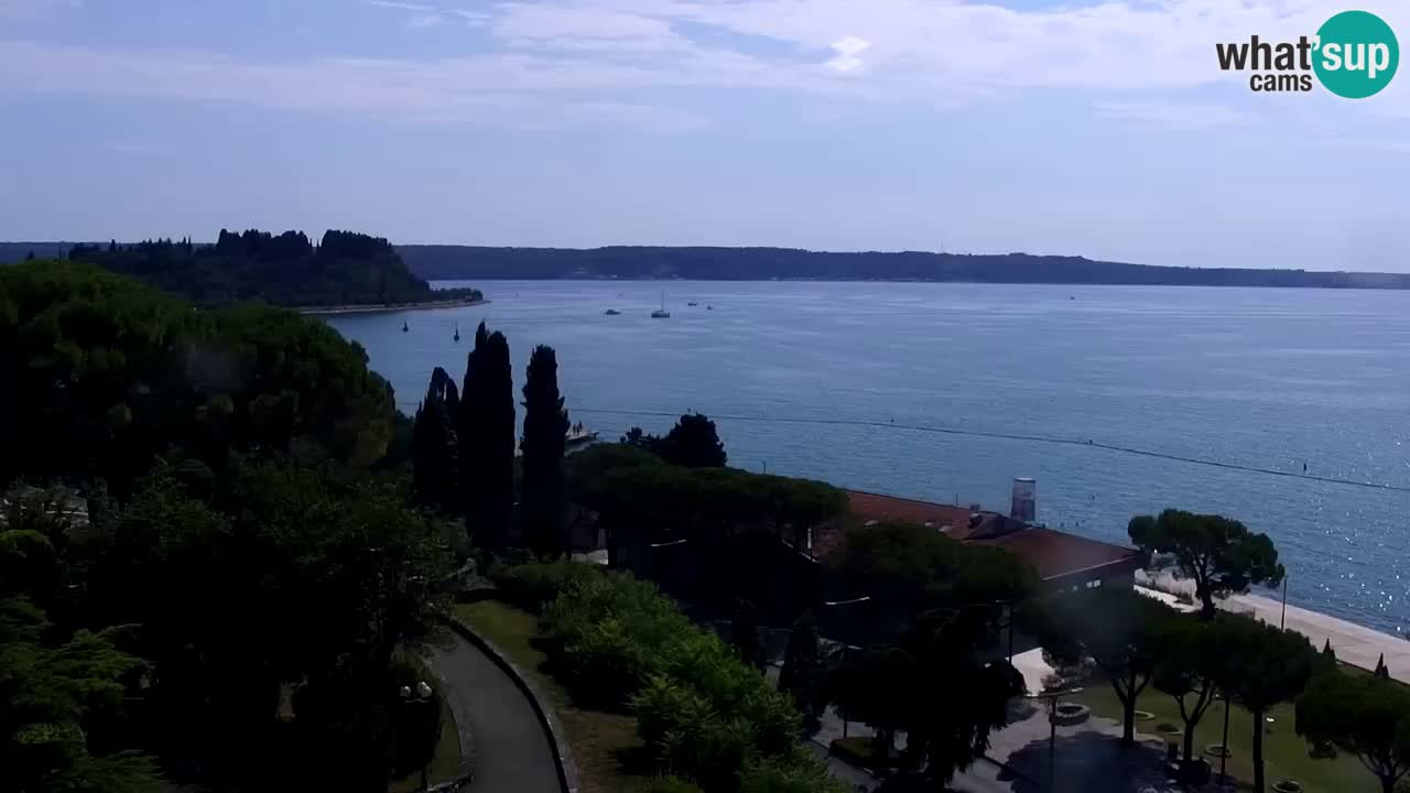 Web Kamera Portorož – Panorama