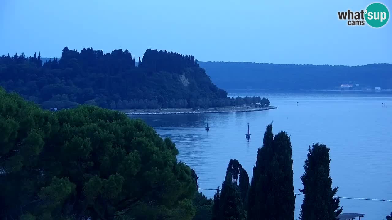 Live cam Portorož  Panorama