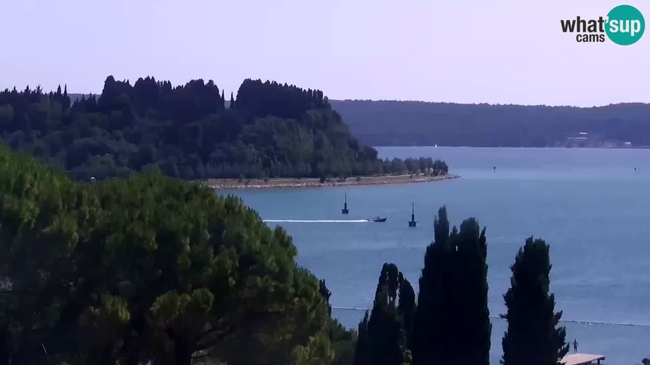 Web kamera Portorož plaža