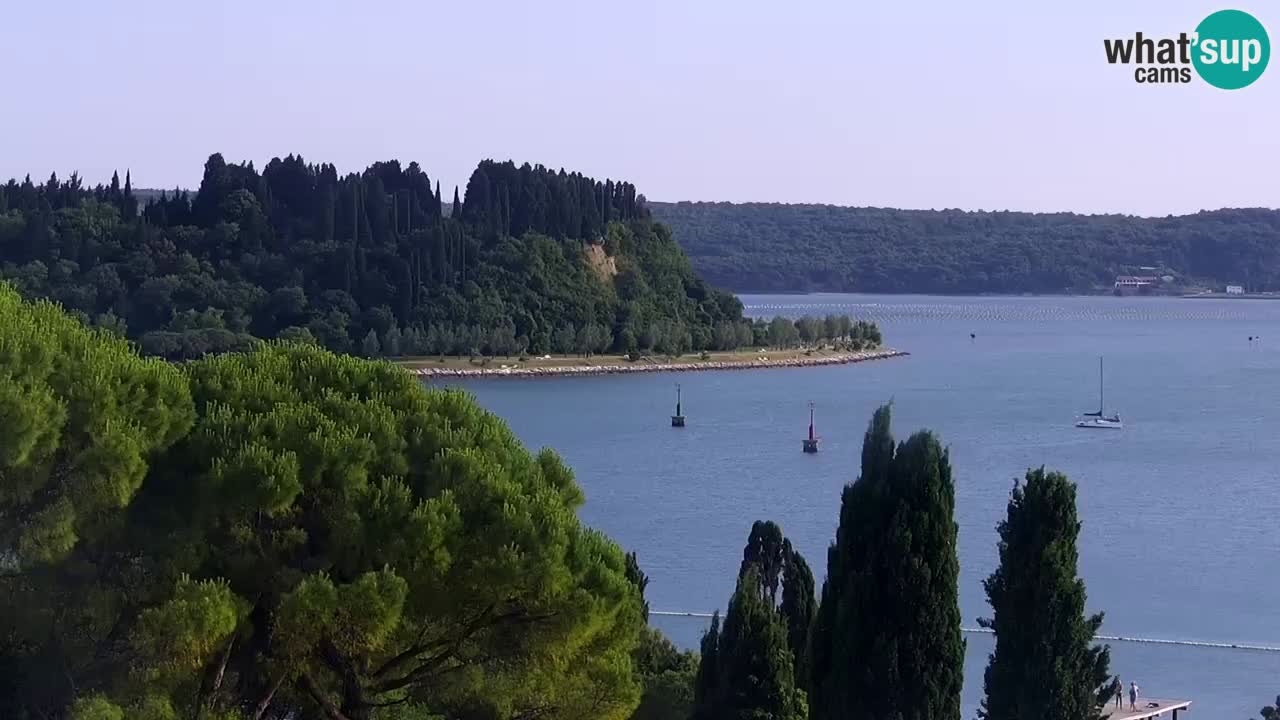Portorož – panorama webcam