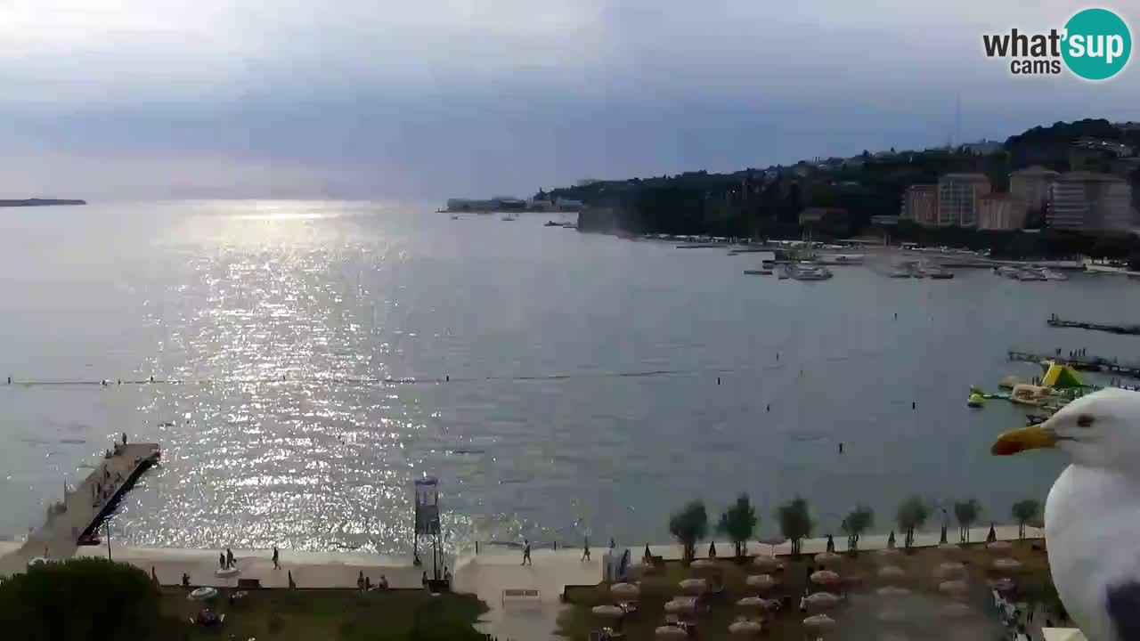 Webcam spiaggia Portorose – Vista dal ristorante Bungalow