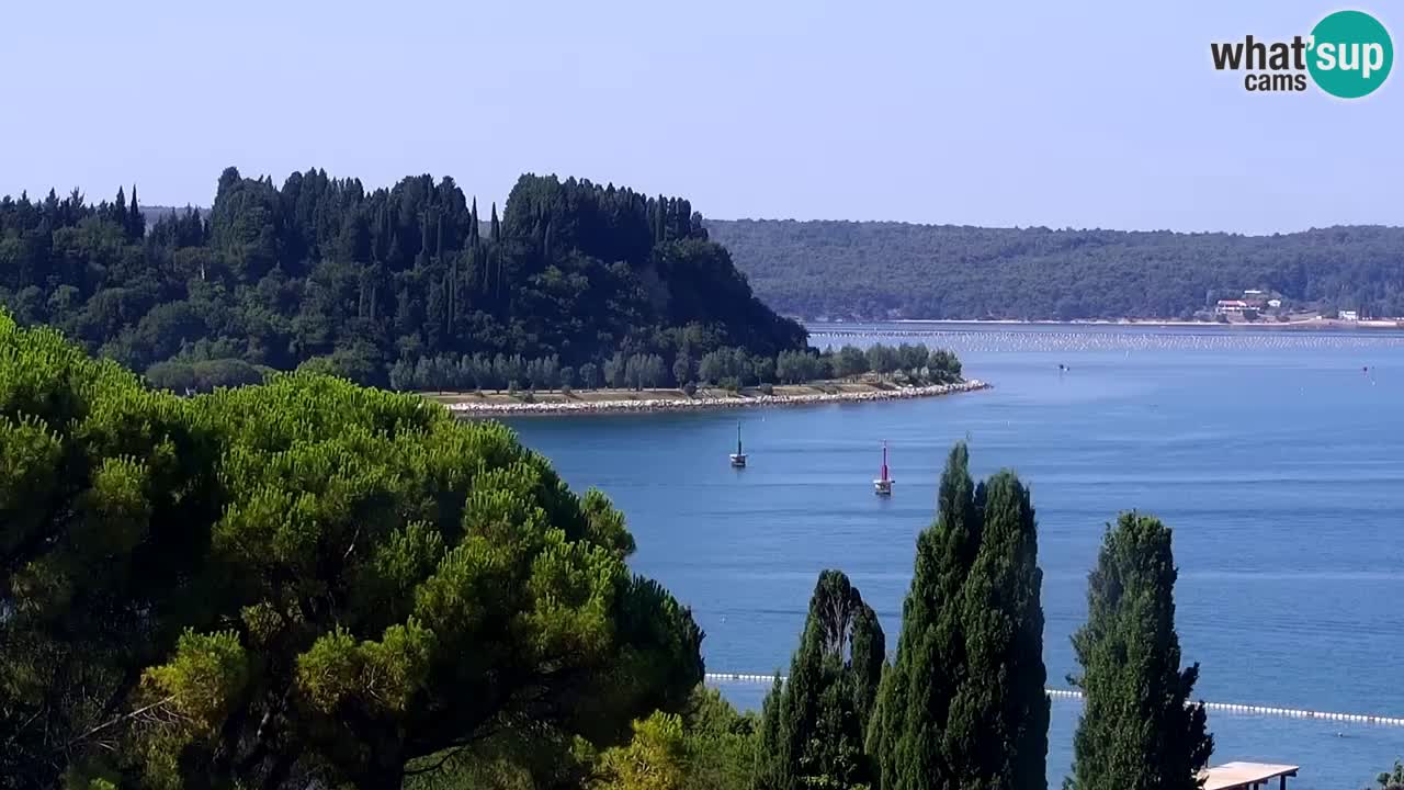 Webcam spiaggia Portorose – Vista dal ristorante Bungalow