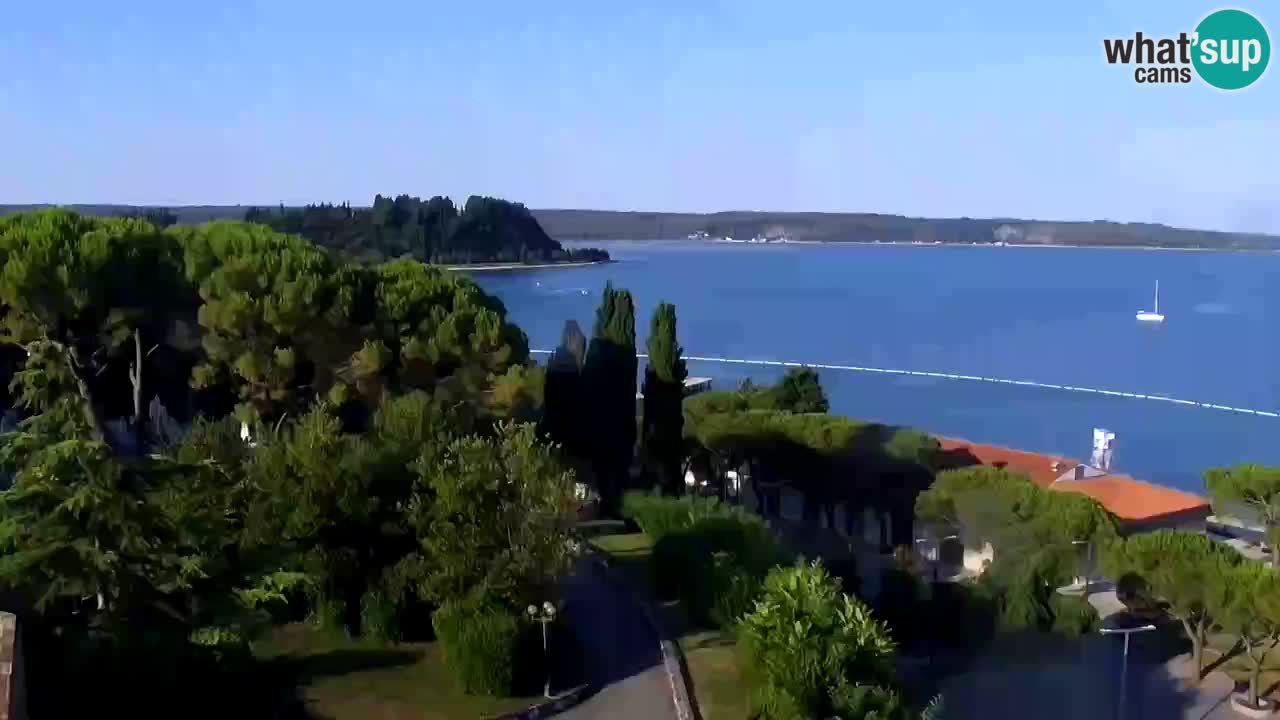 Live cam Portorož  Panorama