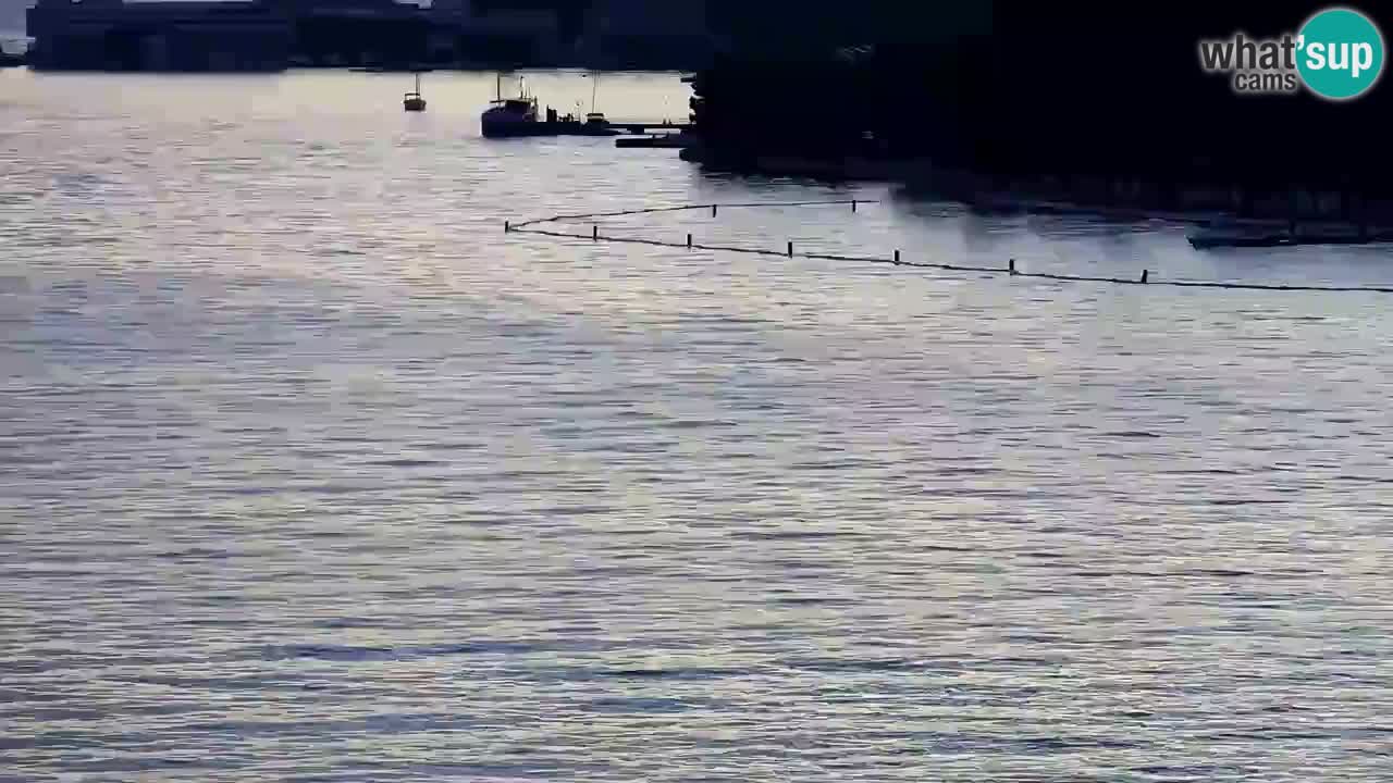 Webcam Portorož – Panorama