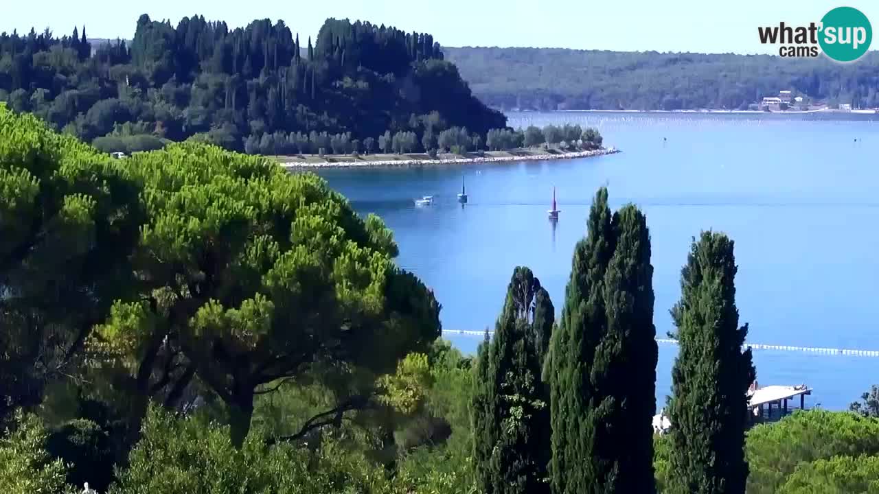 Camera en vivo Portorož – Panorama