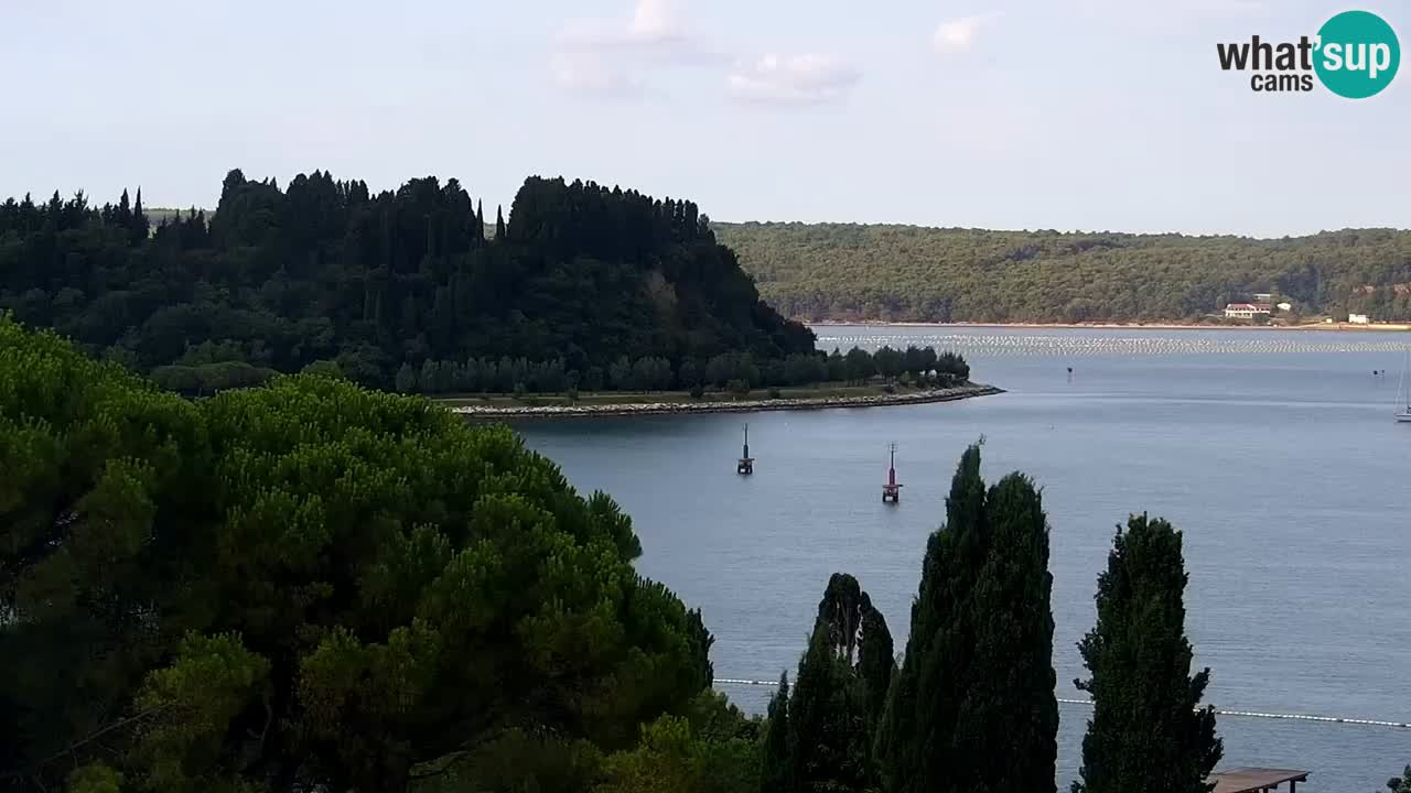 Live Cam Portorož – Panorama