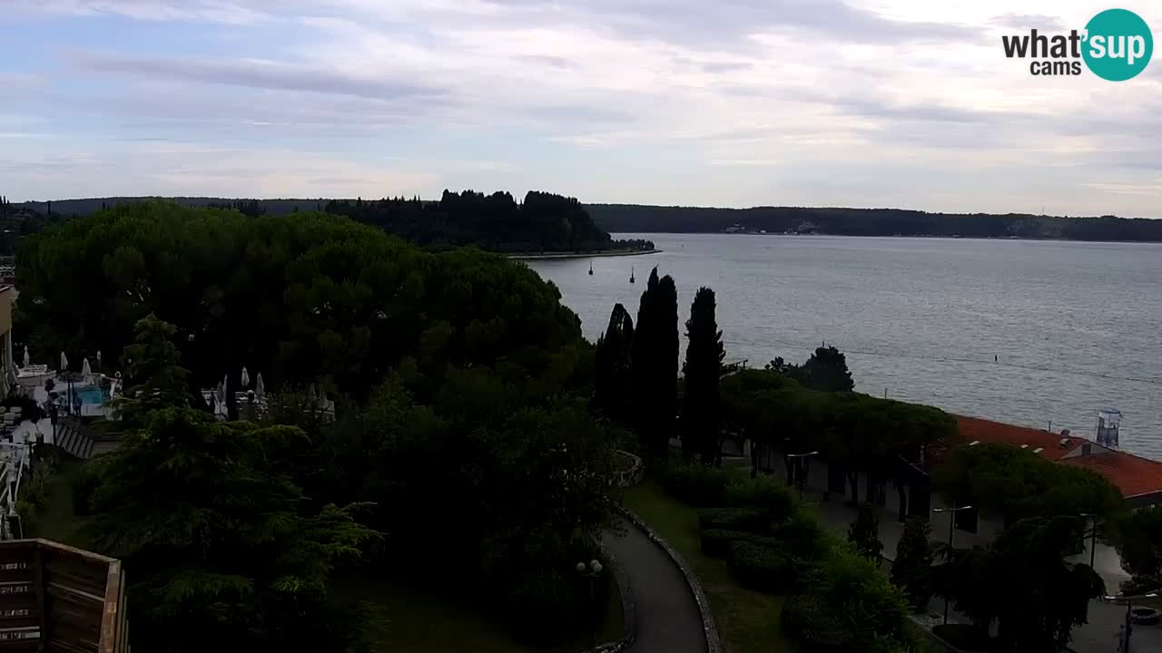 Live Cam Portorož – Panorama