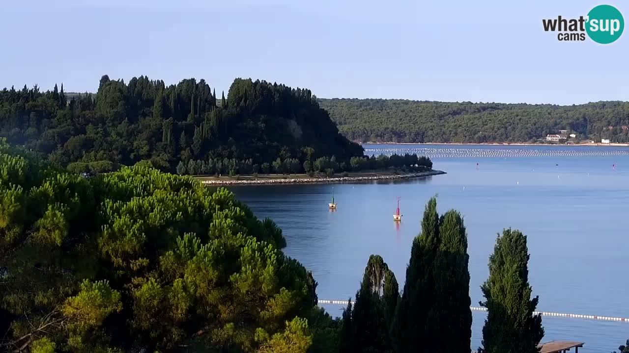 Live cam Portorož  Panorama