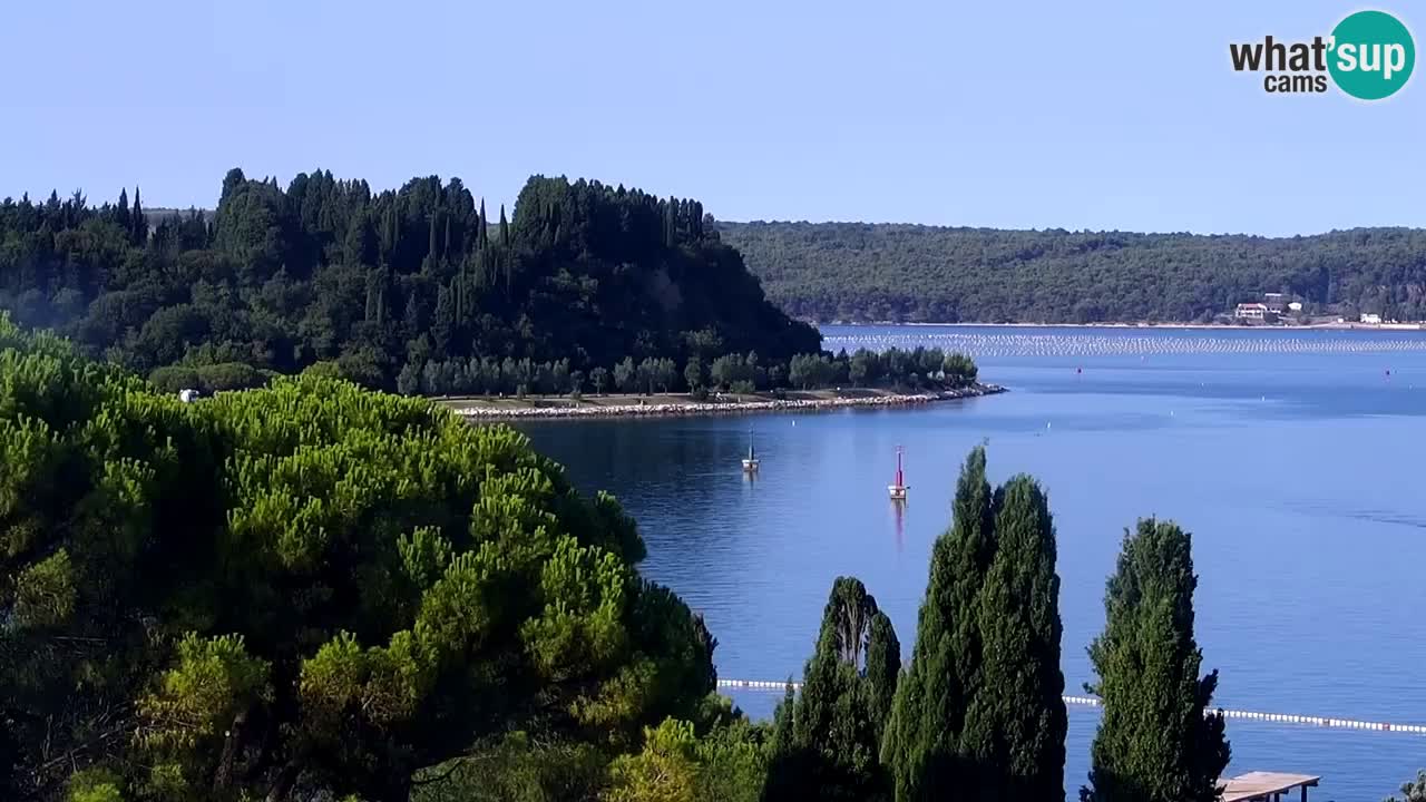 Live Cam Portorož – Panorama