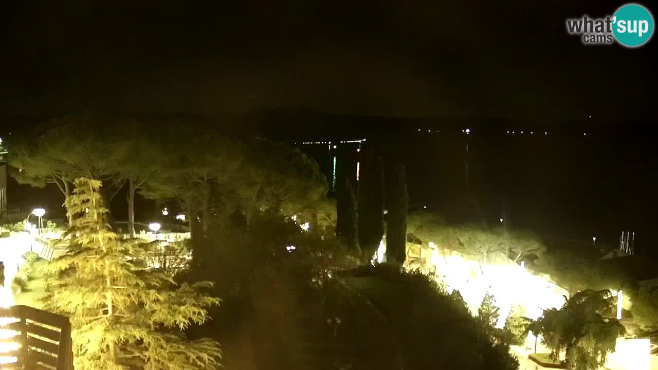 Live cam Portorož  Panorama