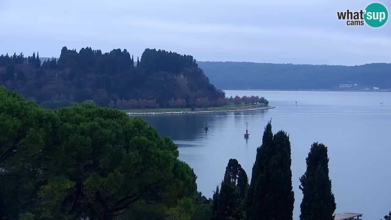 Live cam Portorož  Panorama