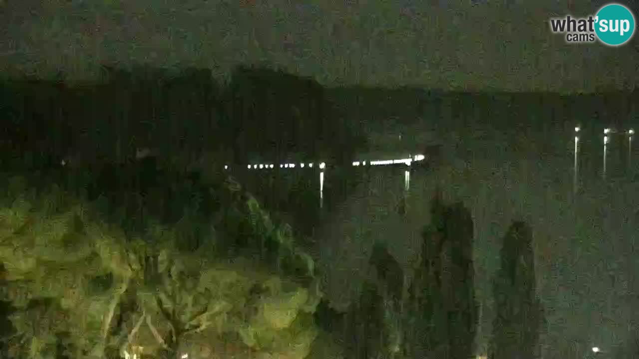 Web Kamera Portorož – Panorama