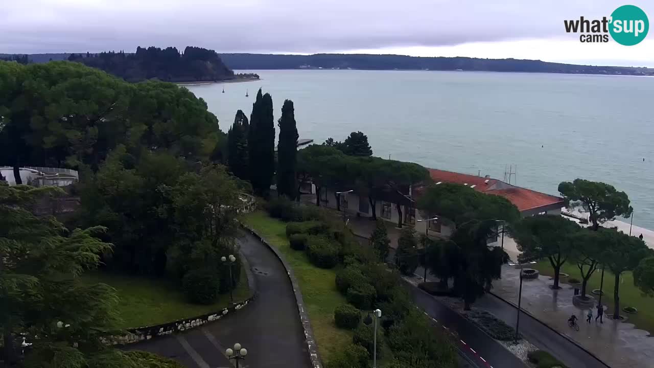 Kamera v živo Portorož – Panorama