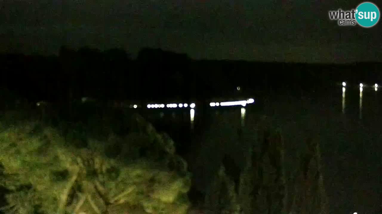 Webcam Portorož – Panorama