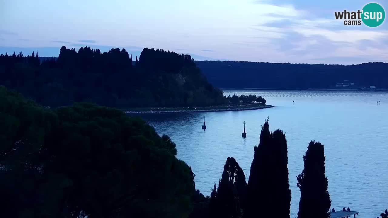 Live Cam Portorož – Panorama