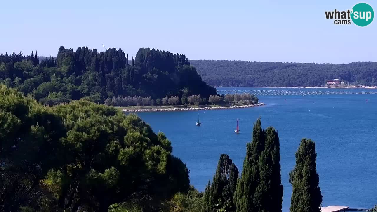 Camera en vivo Portorož – Panorama