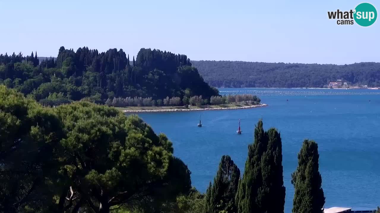 Webcam Portorož – Panorama