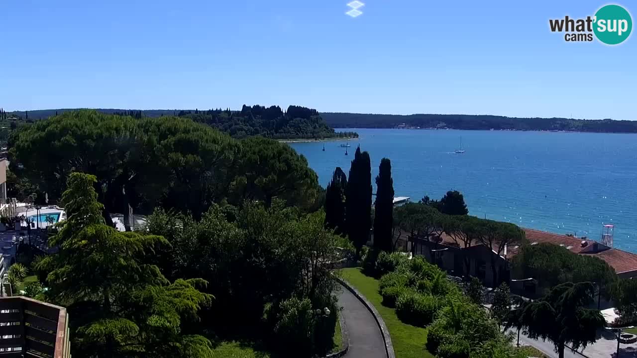 Live Cam Portorož – Panorama