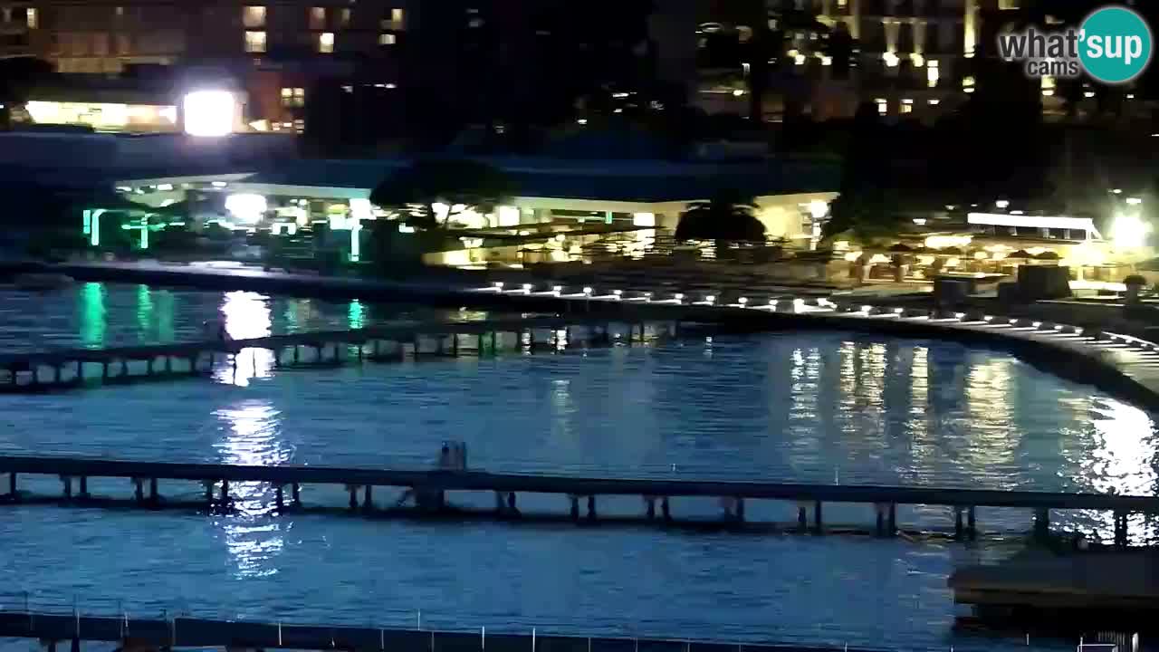 Webcam Portorož – Panorama