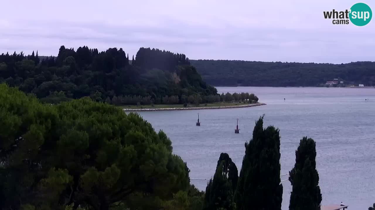 Live cam Portorož  Panorama