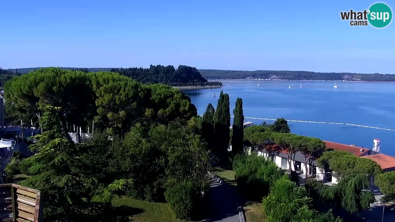 Web Kamera Portorož – Panorama