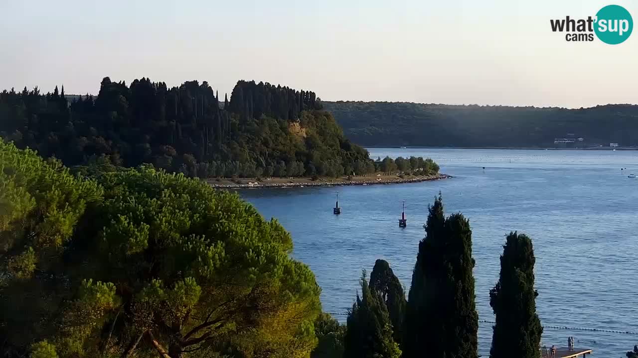 Live Cam Portorož – Panorama