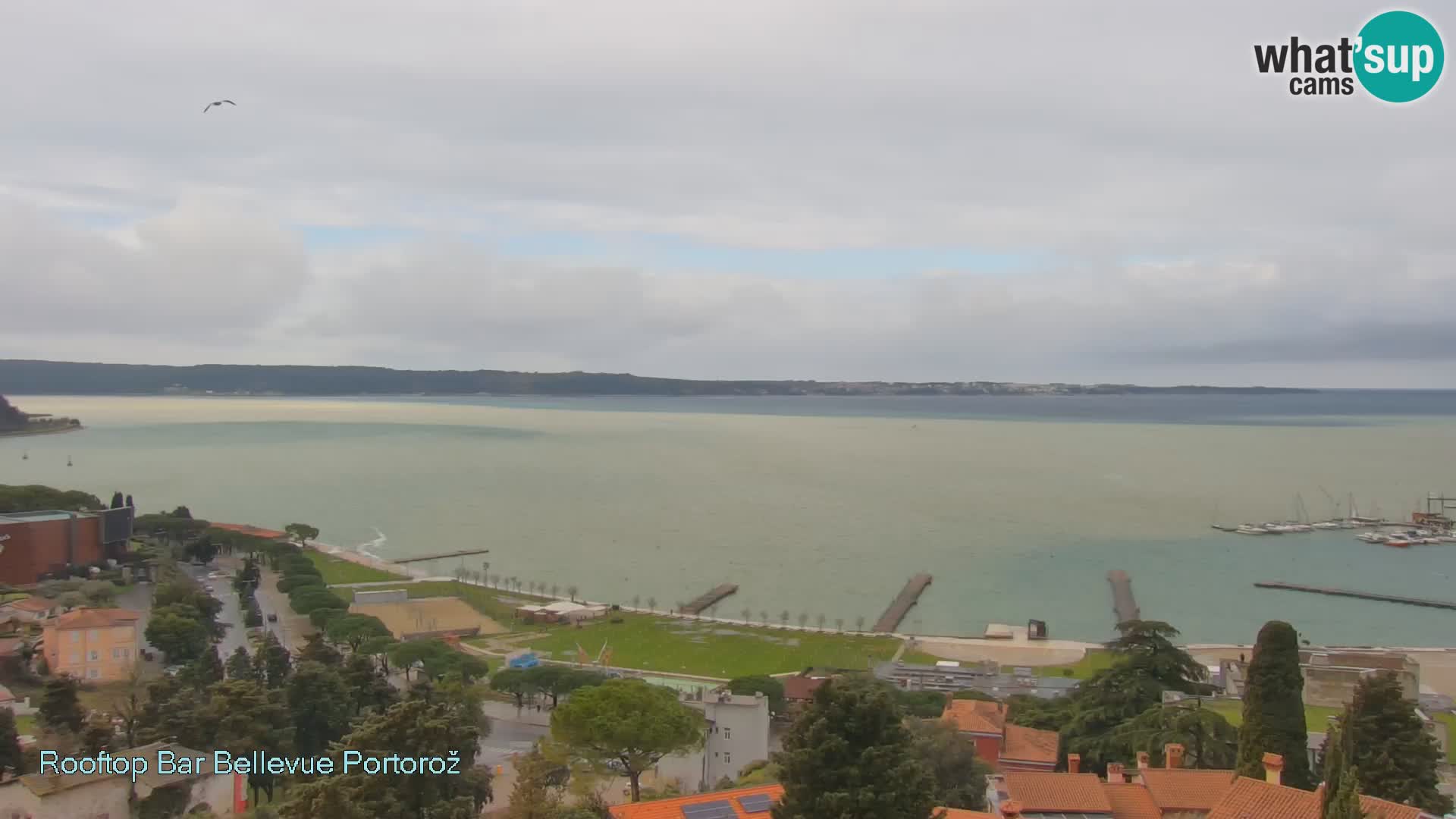 Live Cam Portorož – Panorama Villa Bellevue