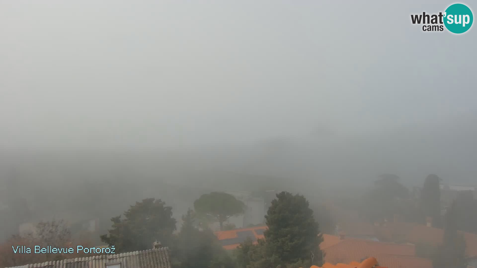 Portorož camera en vivo – Panorama Villa Bellevue