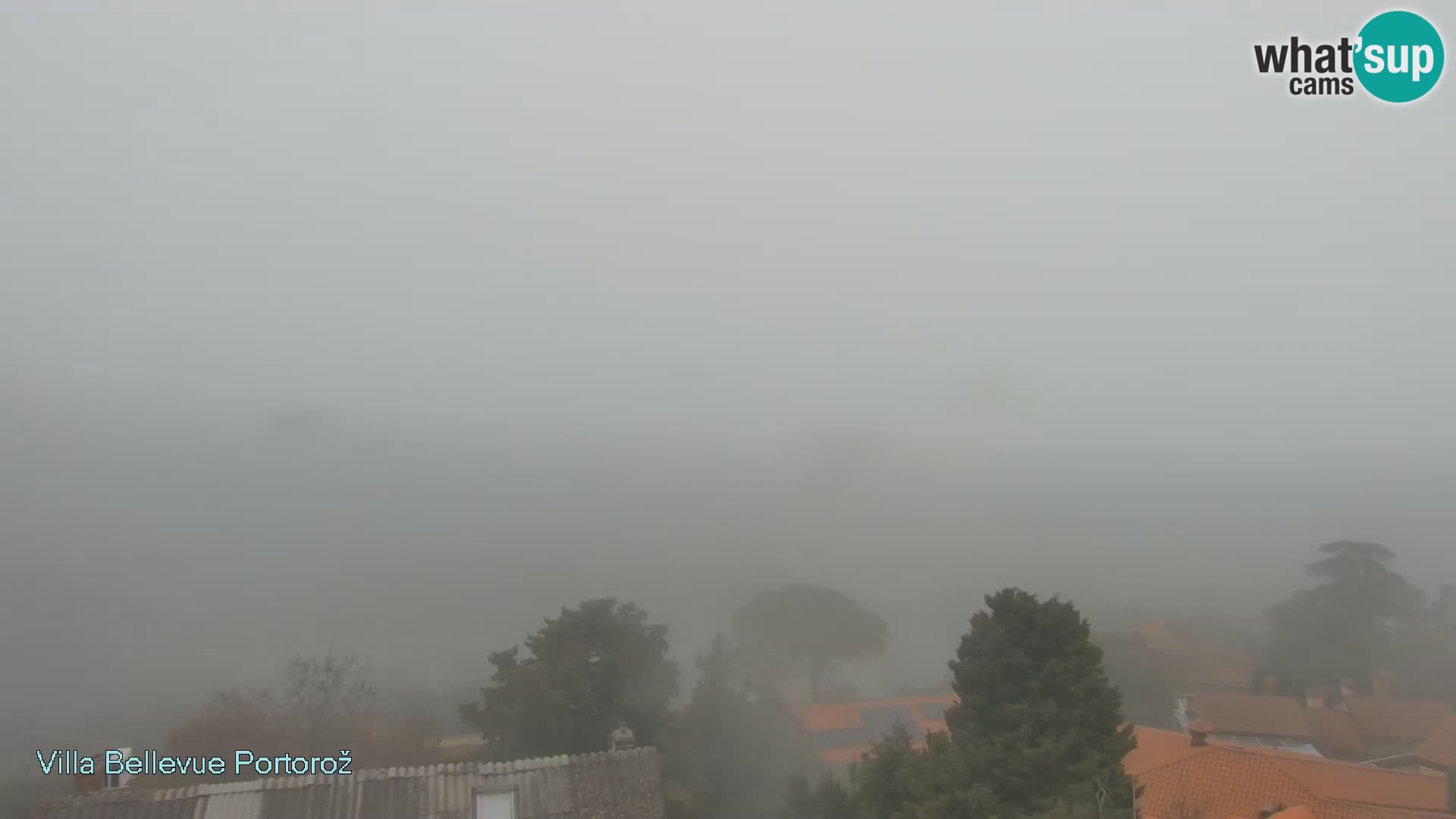 Portorož camera en vivo – Panorama Villa Bellevue