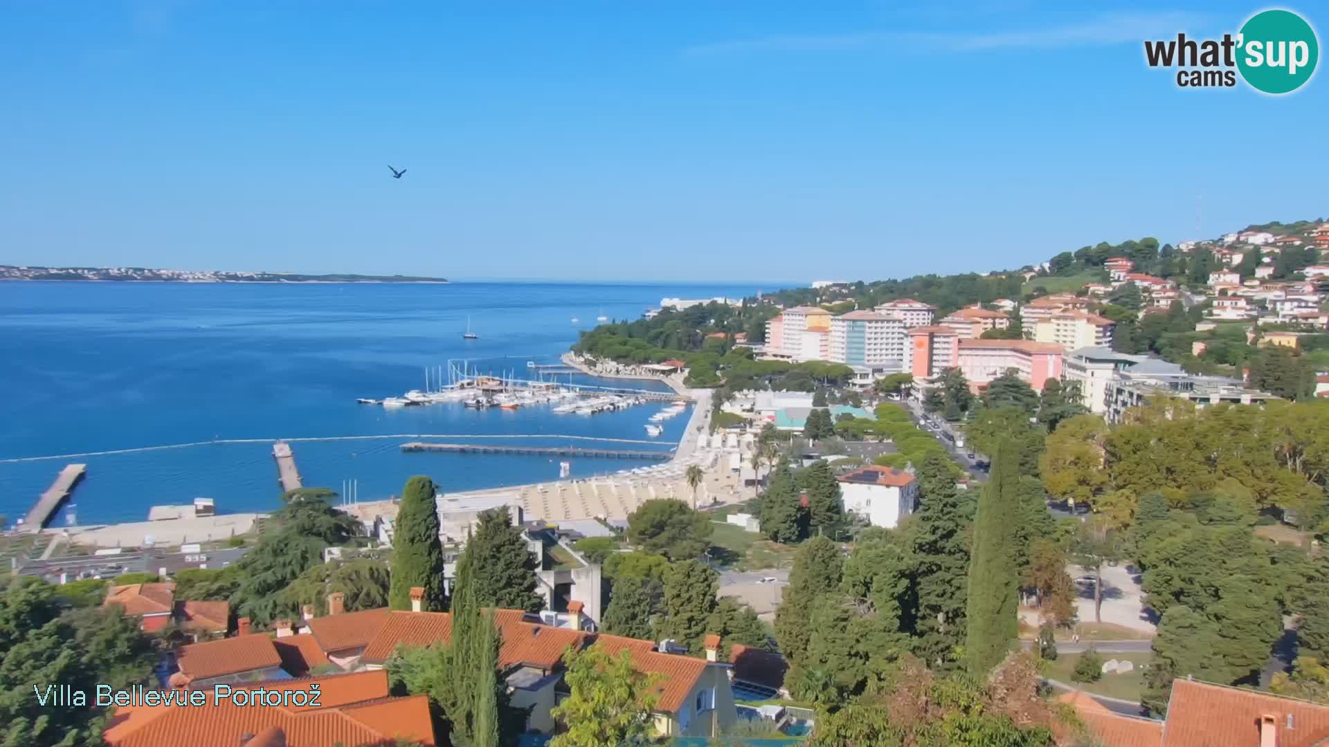 Live Cam Portorož – Panorama Villa Bellevue