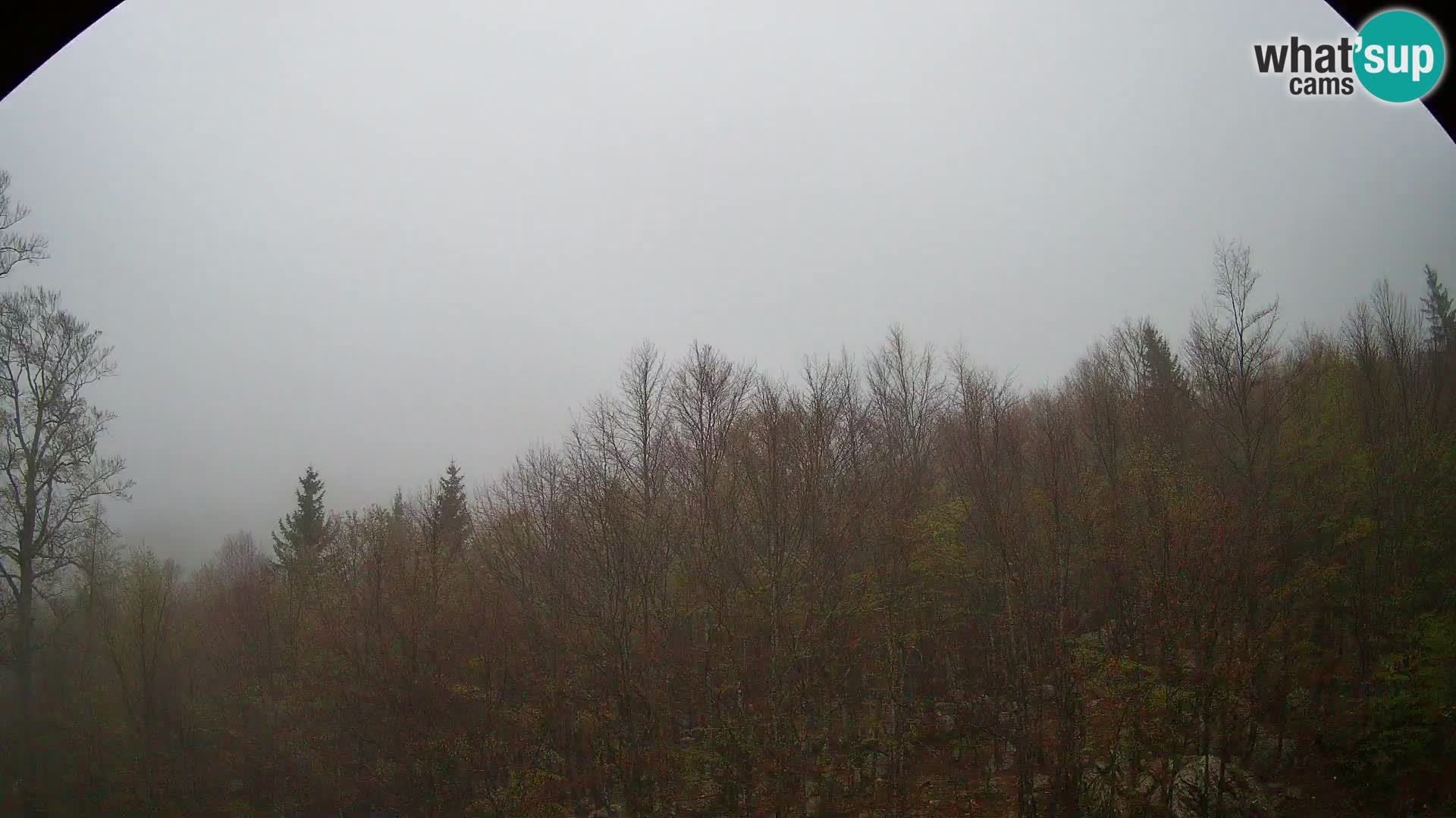 PLANINA RAZOR webcam (1315) | view to Vogel and Globoko
