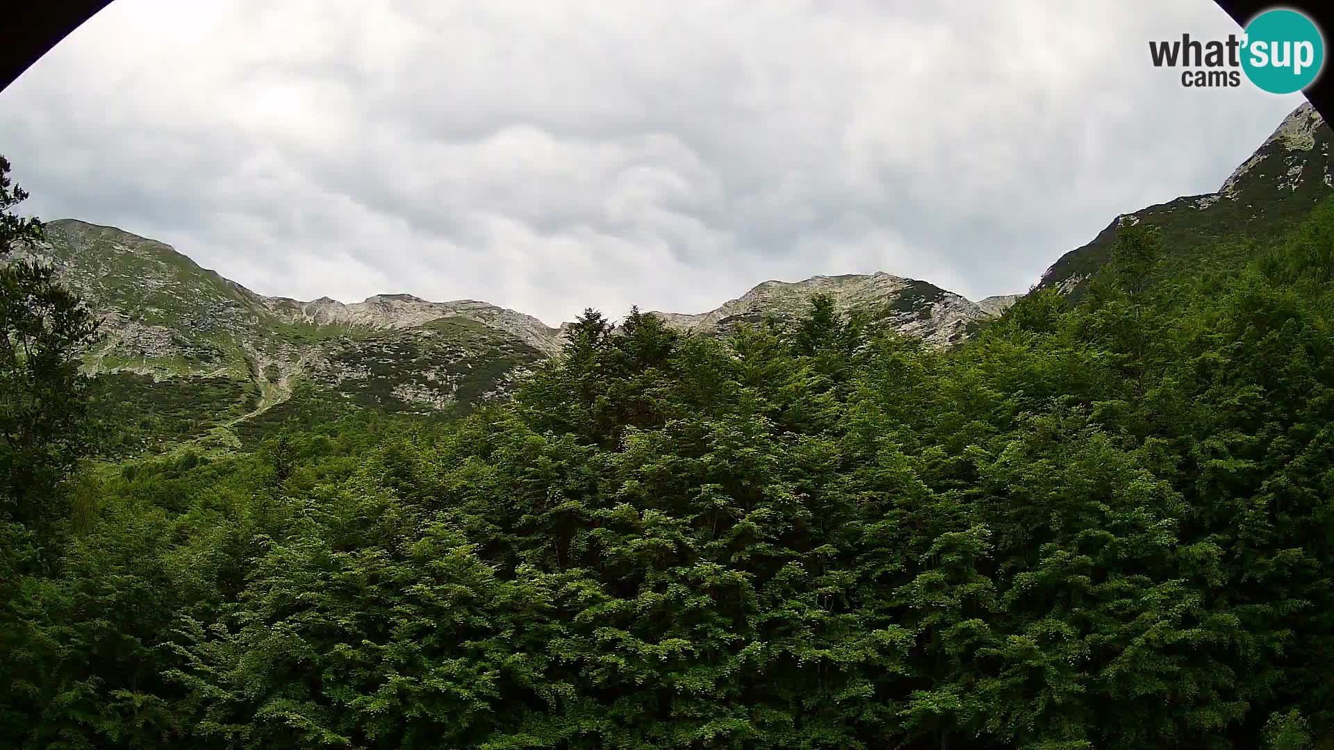 PLANINA RAZOR webcam (1315) | view to Vogel and Globoko