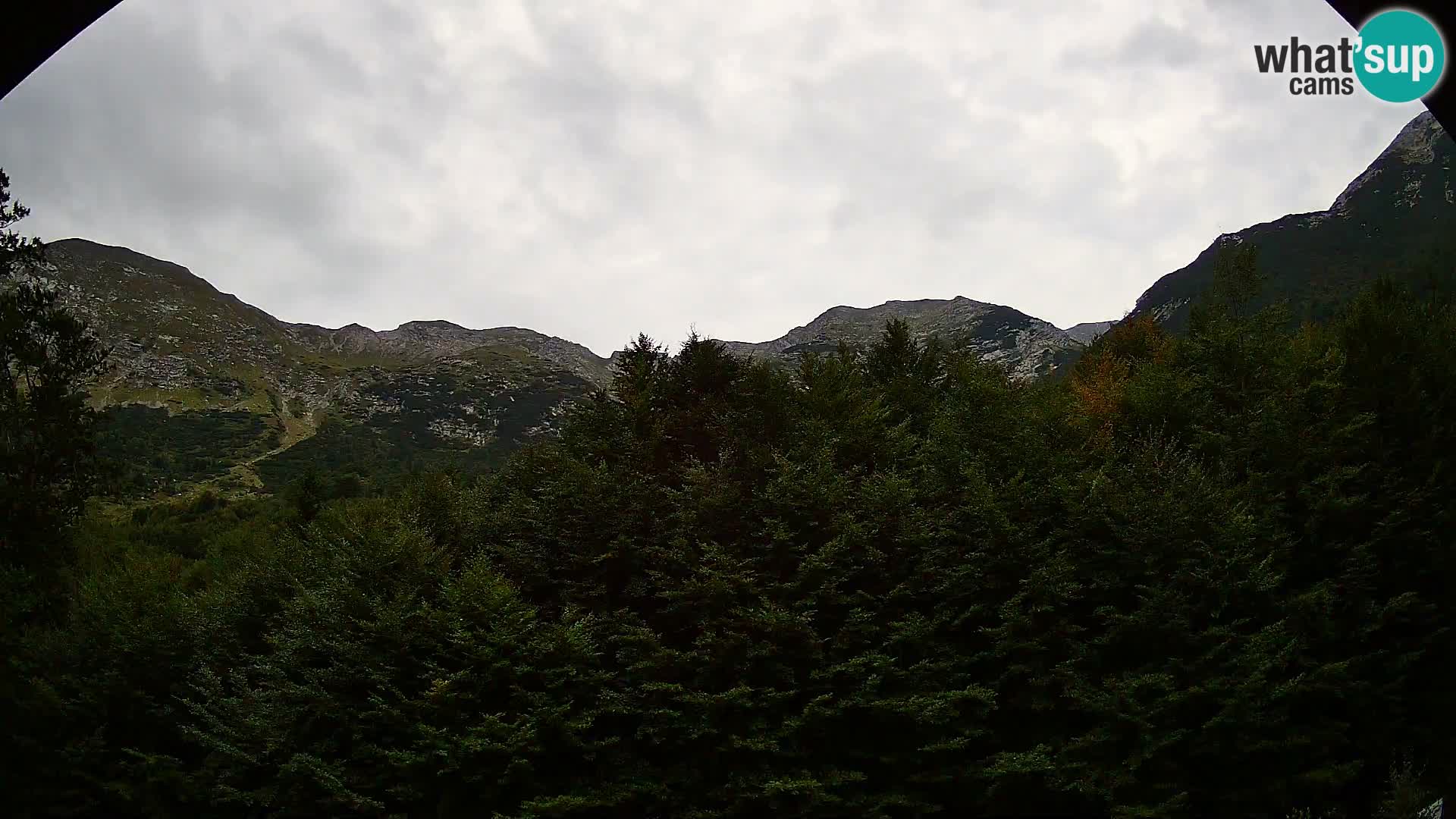 PLANINA RAZOR webcam (1315) | view to Vogel and Globoko