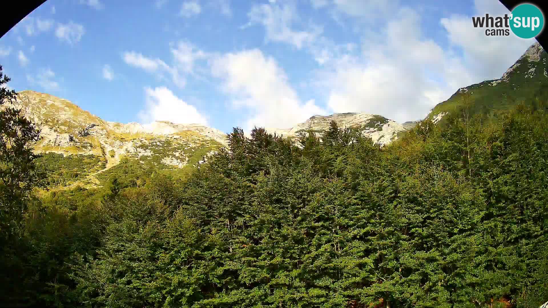 PLANINA RAZOR kamera (1315) | pogled na Vogel in Globoko