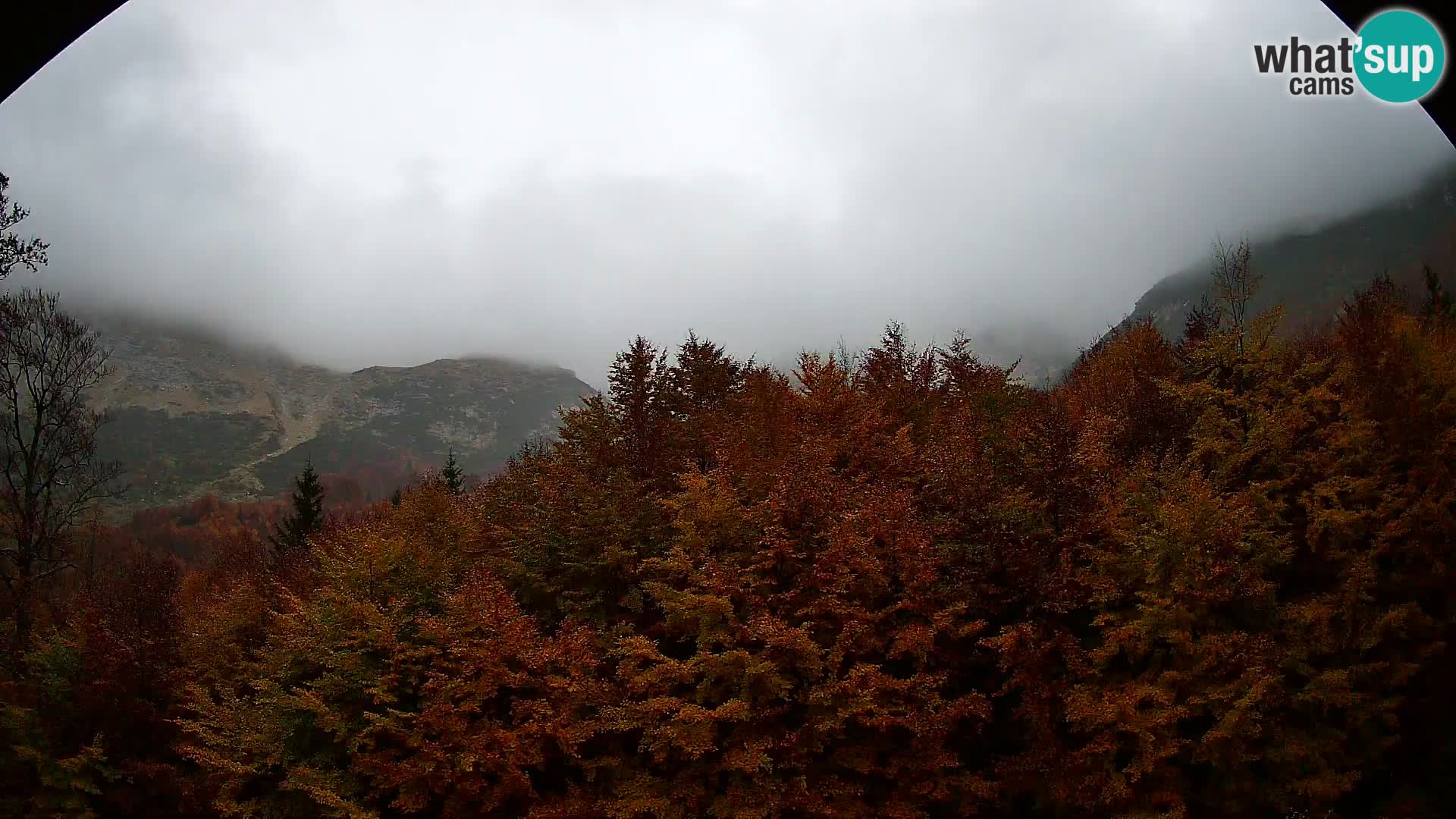 Webcam PLANINA RAZOR (1315) | Blick auf Vogel und Globoko