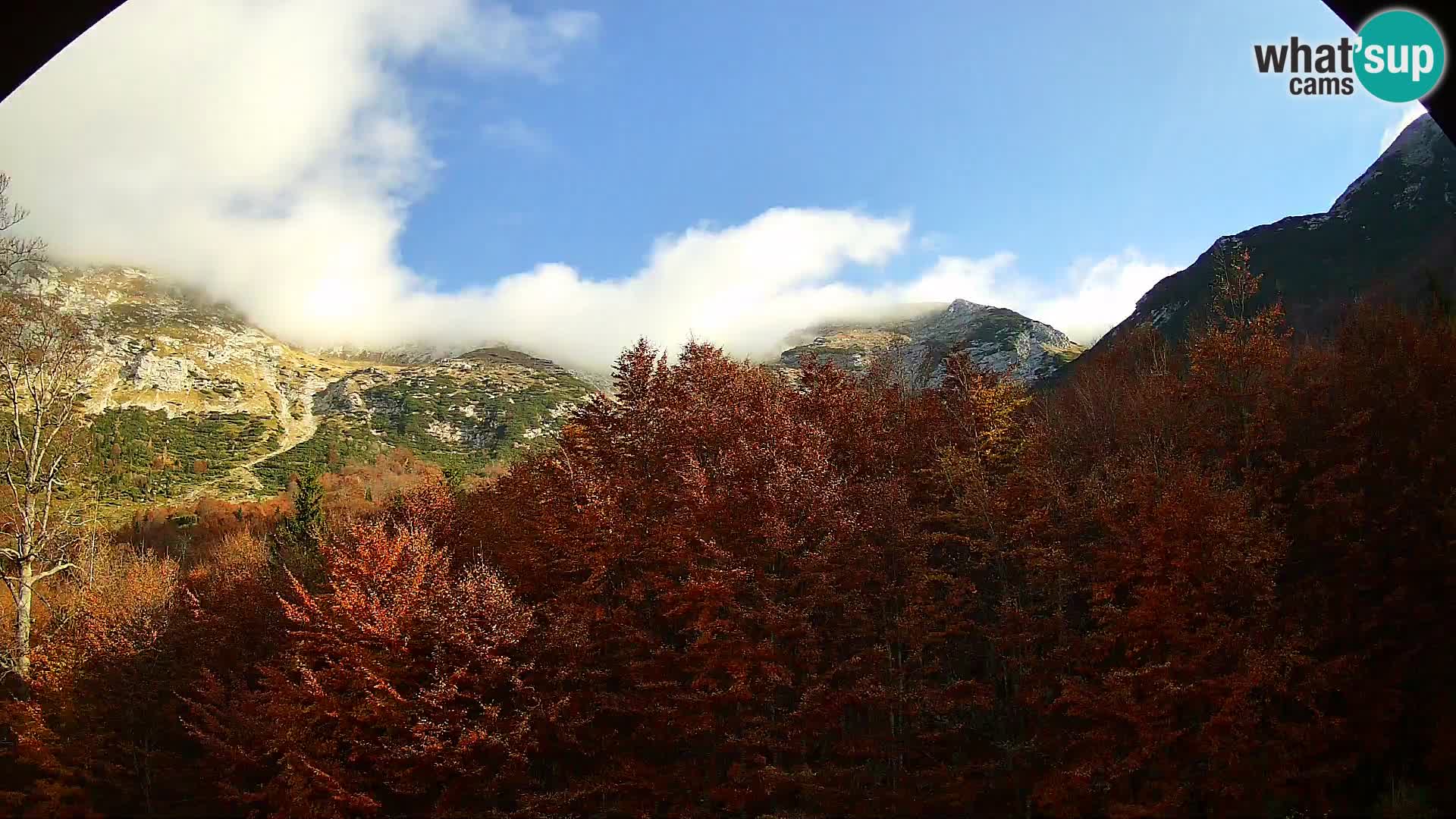 PLANINA RAZOR webcam (1315) | view to Vogel and Globoko