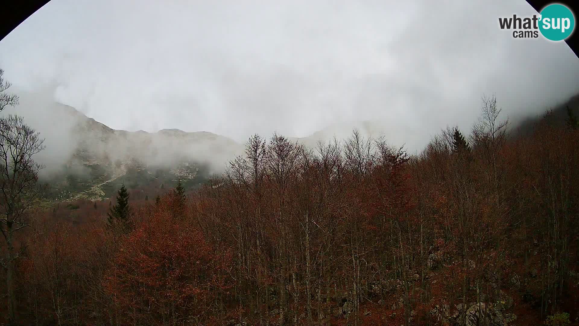 PLANINA RAZOR Live Cam (1315) | vista su Vogel e Globoko