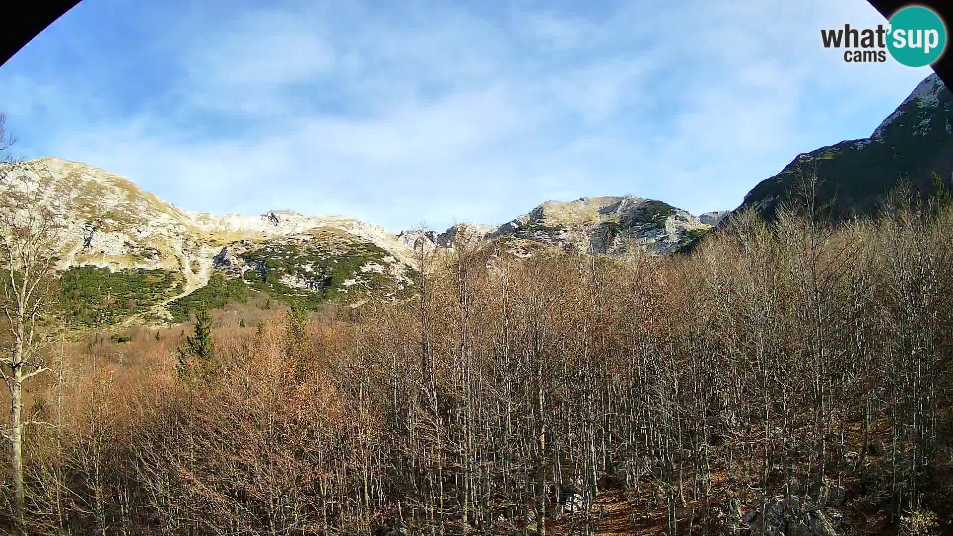 Webcam PLANINA RAZOR (1315) | Blick auf Vogel und Globoko