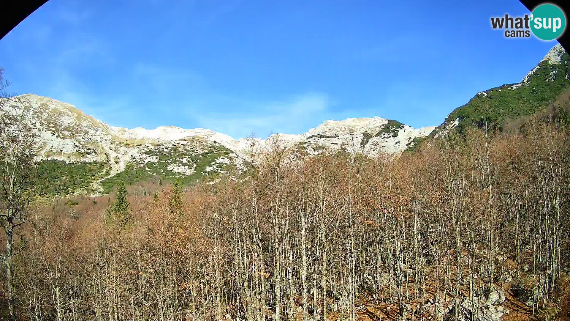 PLANINA RAZOR webcam (1315) | view to Vogel and Globoko