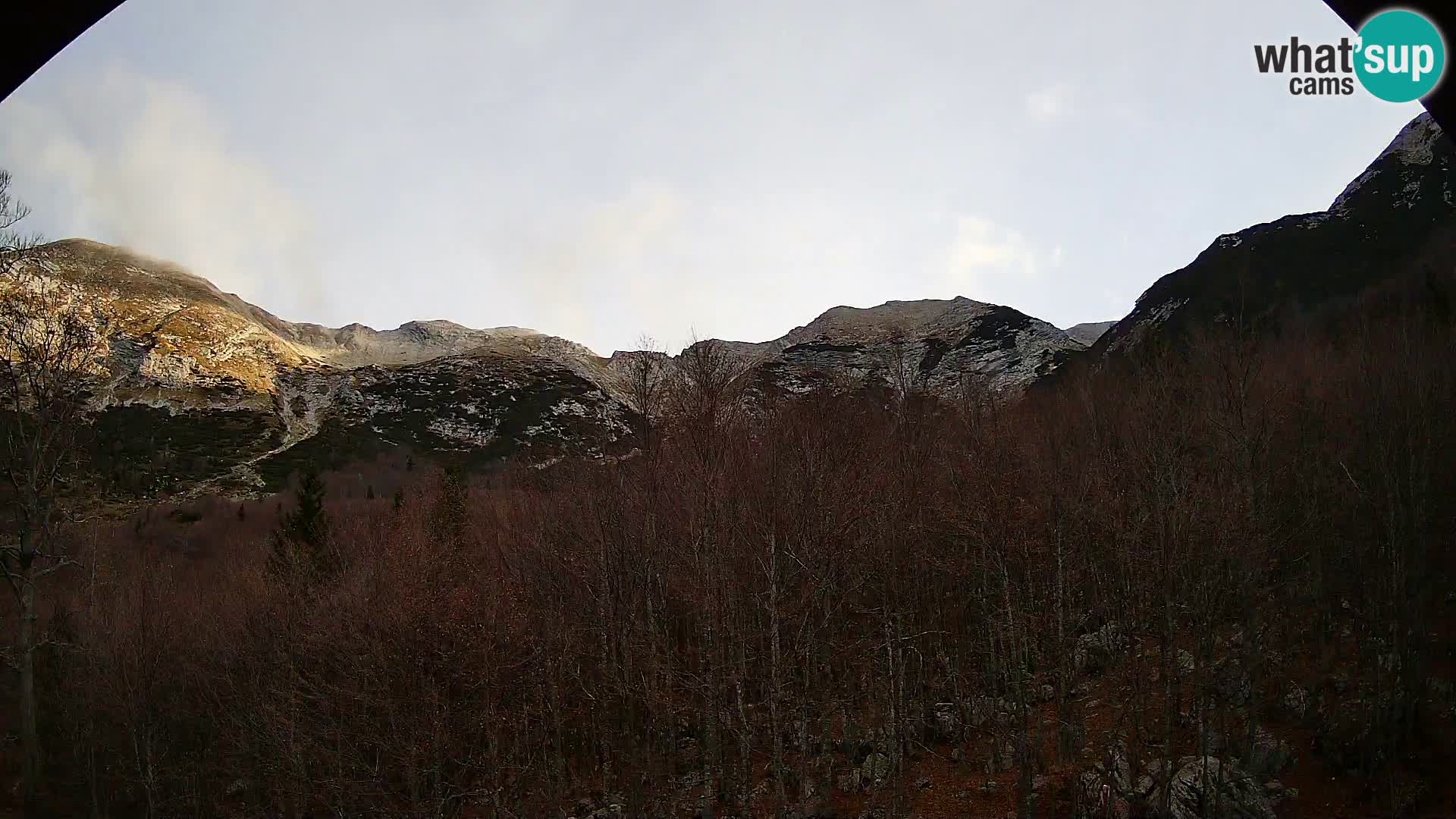 PLANINA RAZOR web kamera (1315) | pogled na Vogel i Globoko