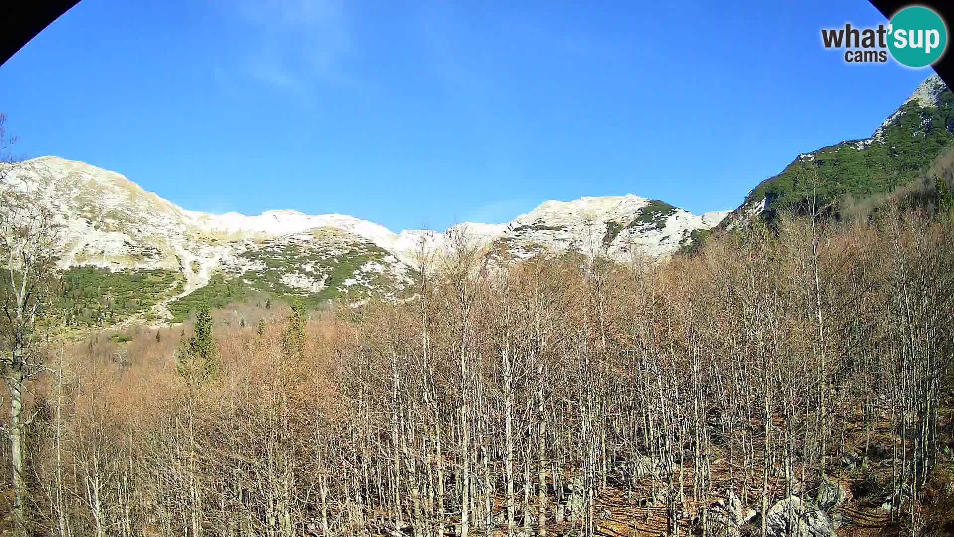 PLANINA RAZOR Live Cam (1315) | vista su Vogel e Globoko