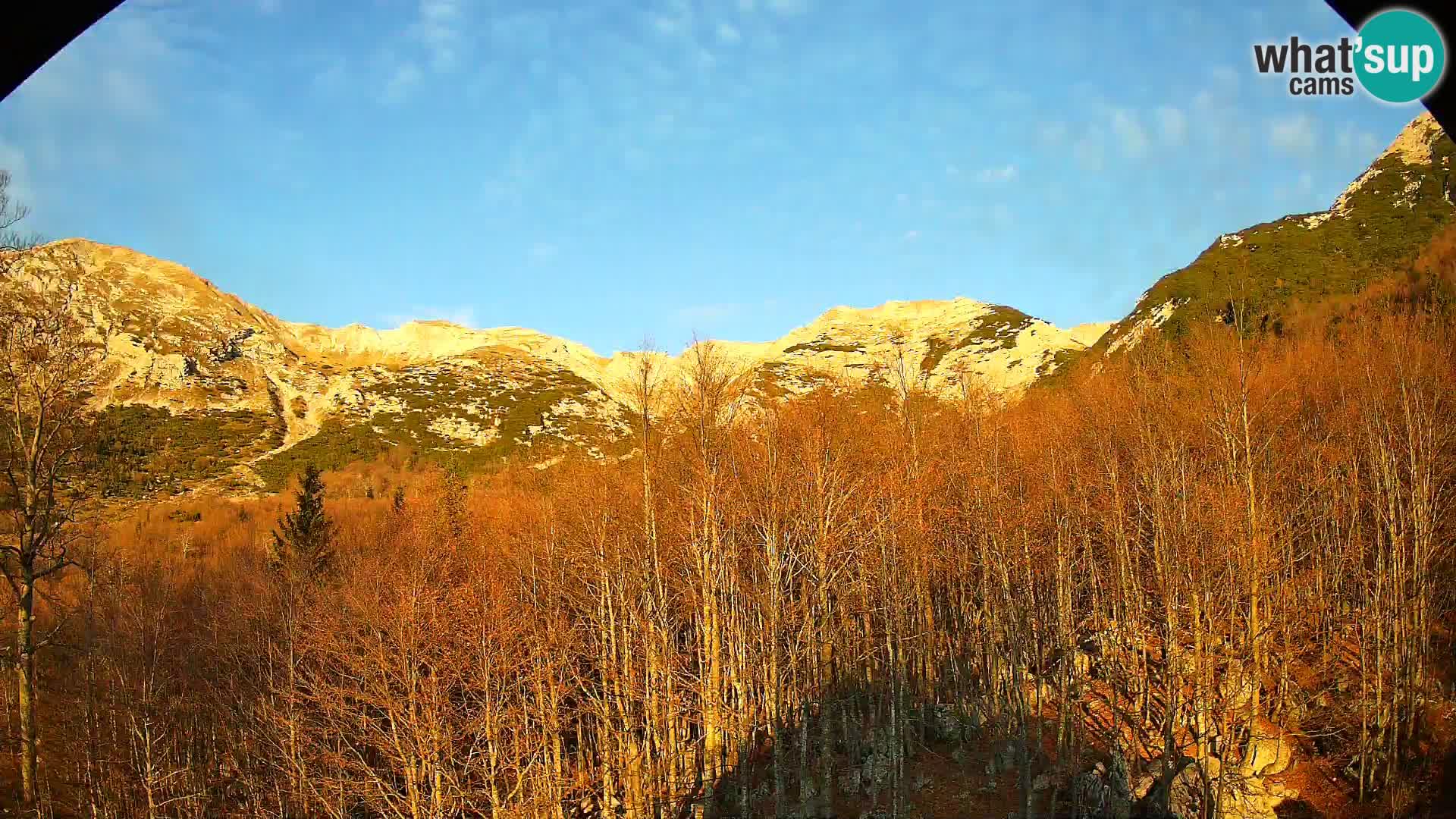 Webcam PLANINA RAZOR (1315) | Blick auf Vogel und Globoko